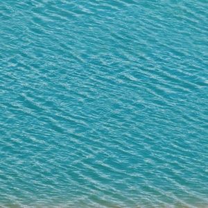 Meet your Posher, Tyesha